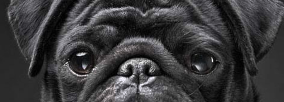 Slider 2